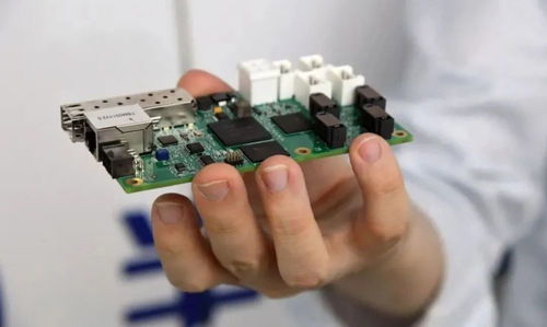 芯片硅幕 歐美共舞下的軟件開發(fā)風(fēng)險(xiǎn)解析