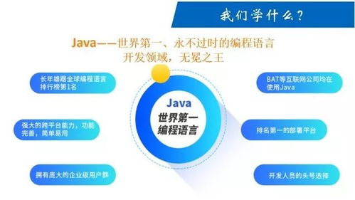 提前招生專業(yè) 計(jì)算機(jī)與軟件學(xué)院計(jì)算機(jī)軟件開(kāi)發(fā)